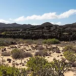 Delmar - Vieja *